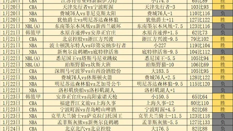 孙颖莎2025国际赛程落幕：明年再见，大象新闻！