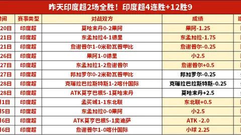 美国青少年追捧的“村BA”热潮