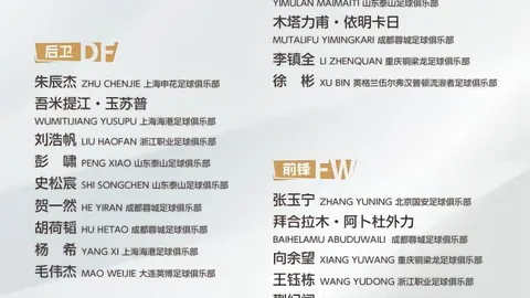 赖斯与帕尔默因负荷控制缺席训练营，保守伤病处理策略